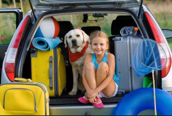 How To Get Your Pup Ready for the Road Trip