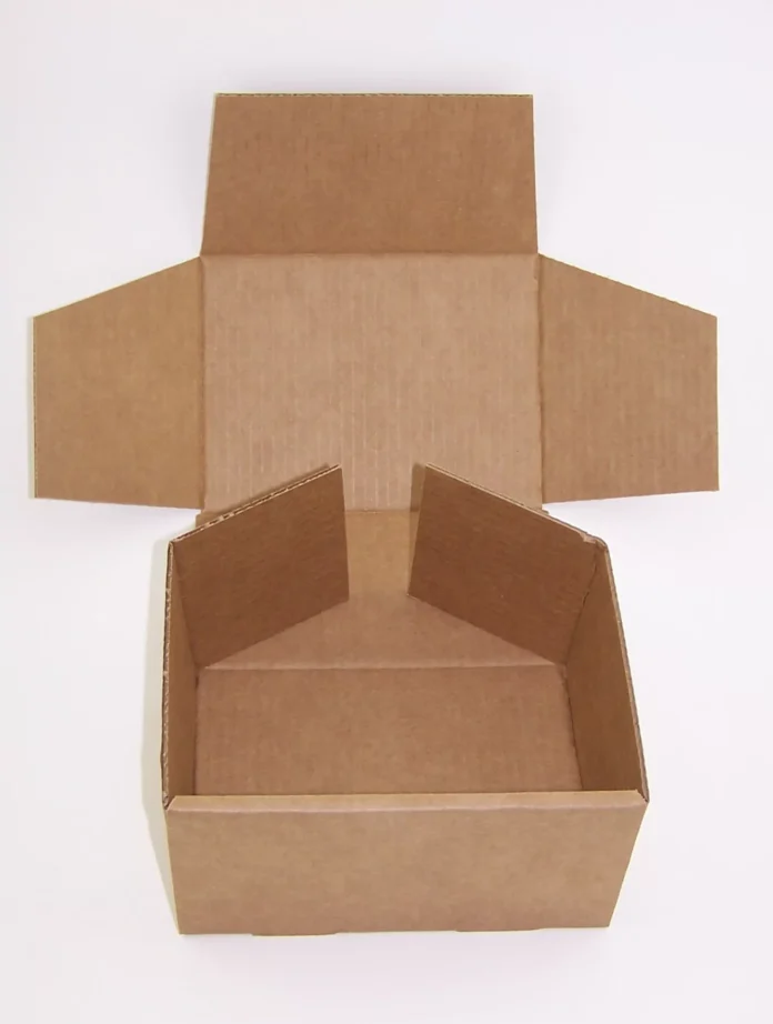 Why Cardboard Mailer Boxes Are the Perfect Choice for Eco-Friendly Shipping